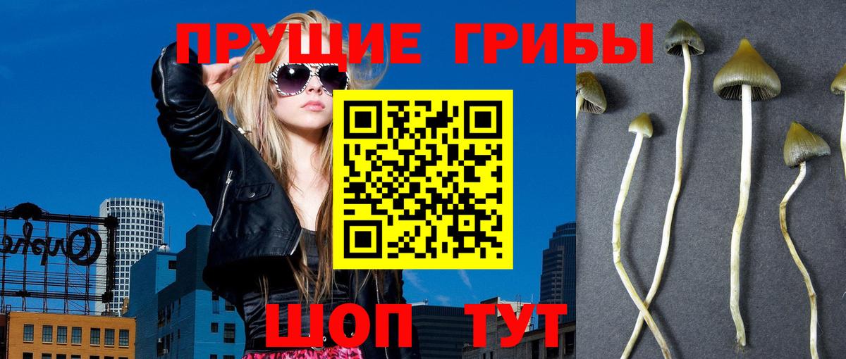 Галлюциногенные грибы ЛСД  Вход с VPN  Псилоцибиновые грибы Psilocybe  Ржев 